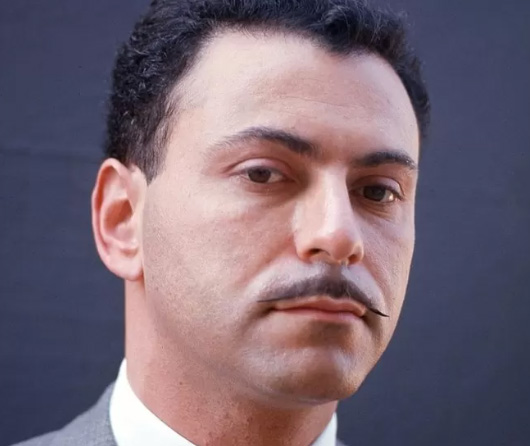 Alan Arkin: A Legendary Actor with Unparalleled Talent